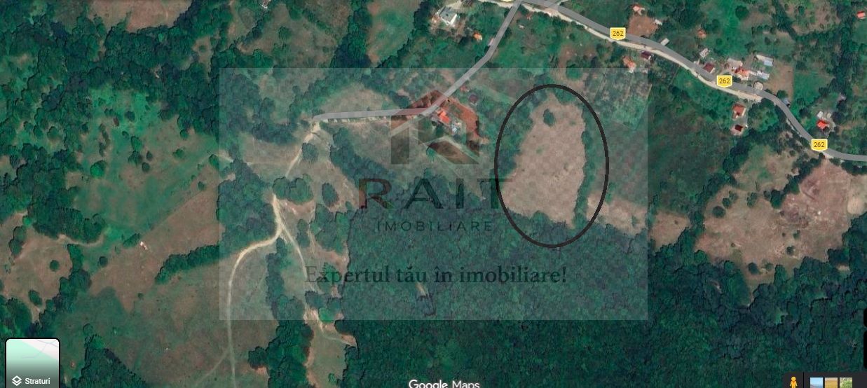 Teren extravilan de vânzare 11.740 mp Corbeni Turburea Argeș - Poză 3