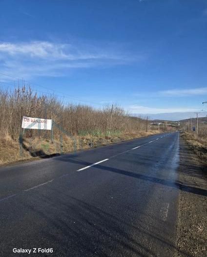 Vânzare teren Poieni Iasi 15.000 mp sau parcelat - Poză 5