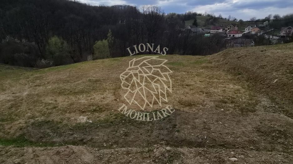 Teren extravilan 1500 mp,  5 min de centru, ideal Cabana, invetitie - Poză 1