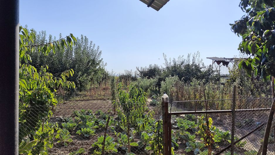 Casa la tara in Sacadat, Bihor, teren 2826 mp, acces auto - Vanzare - Poză 18