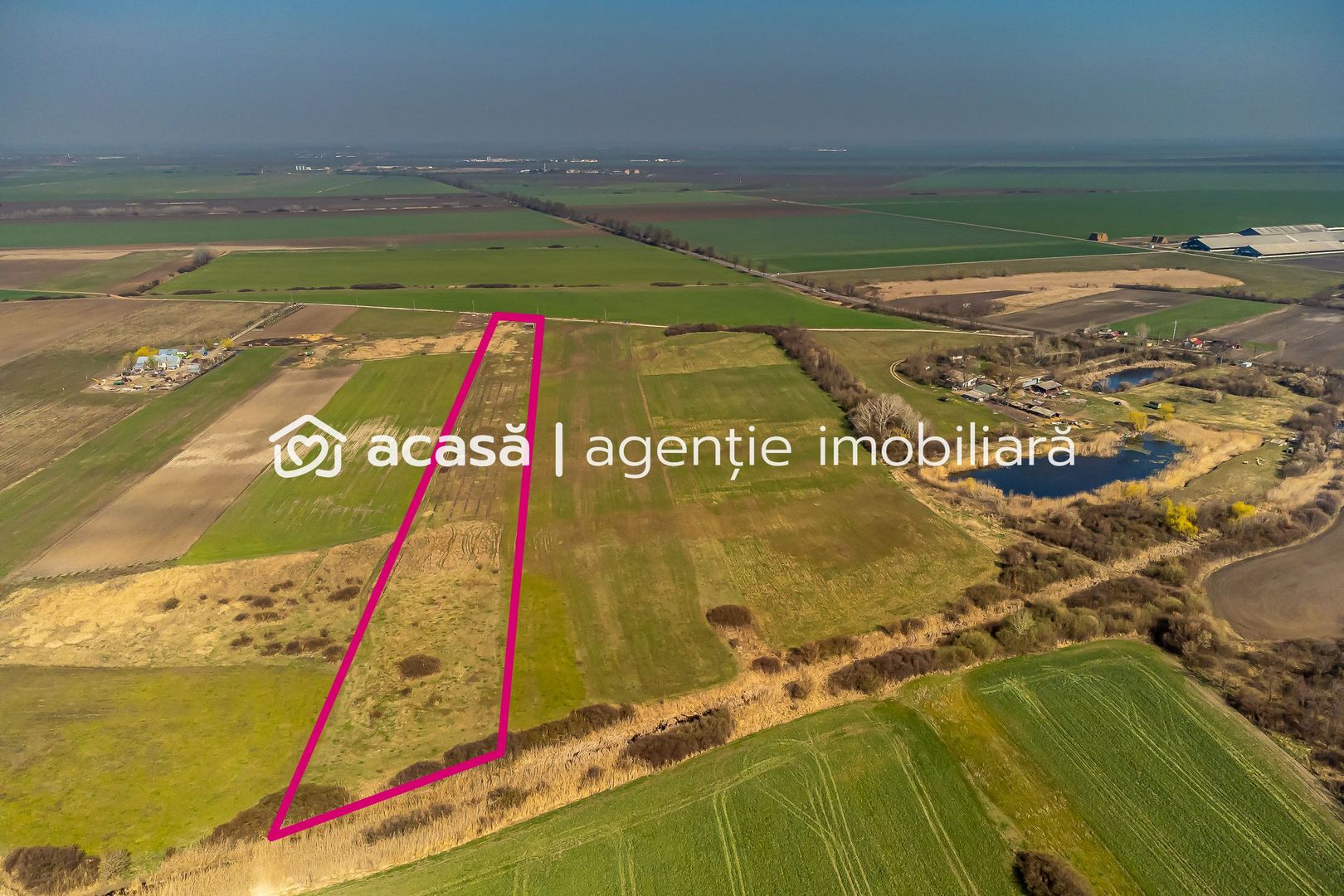 Teren Agricol Extravilan 14300 mp - Poză 4