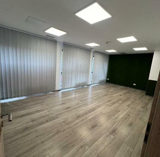 Spatiu Comercial STRADAL - Baba Novac - Poză 13