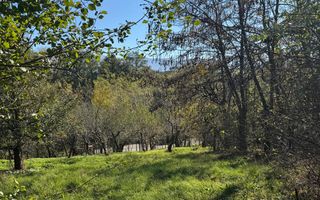 Teren in zona turistica Porumbacu de Sus - Poză 5