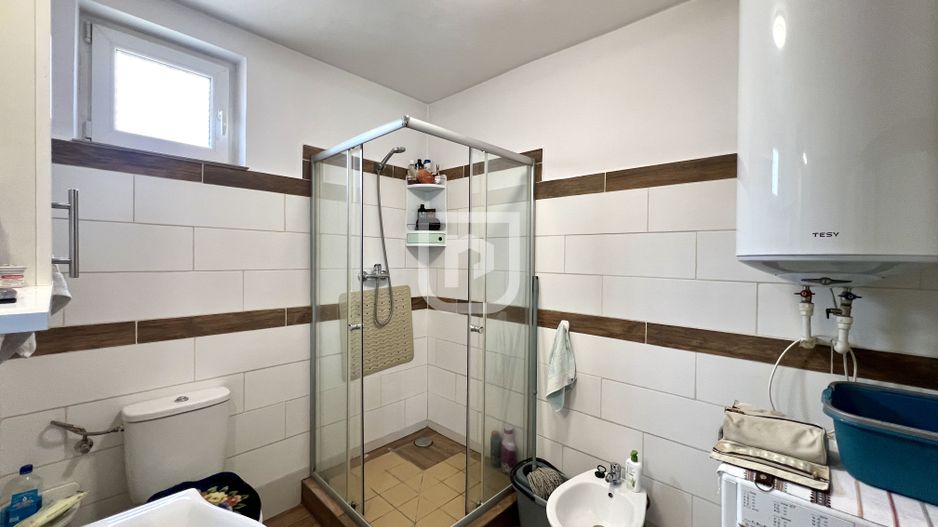 Ferma agricola, plantatii de mure, trandafiri, vita-de-vie - Poză 9