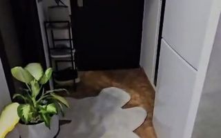 Vanzare Garsoniera - Poză 4