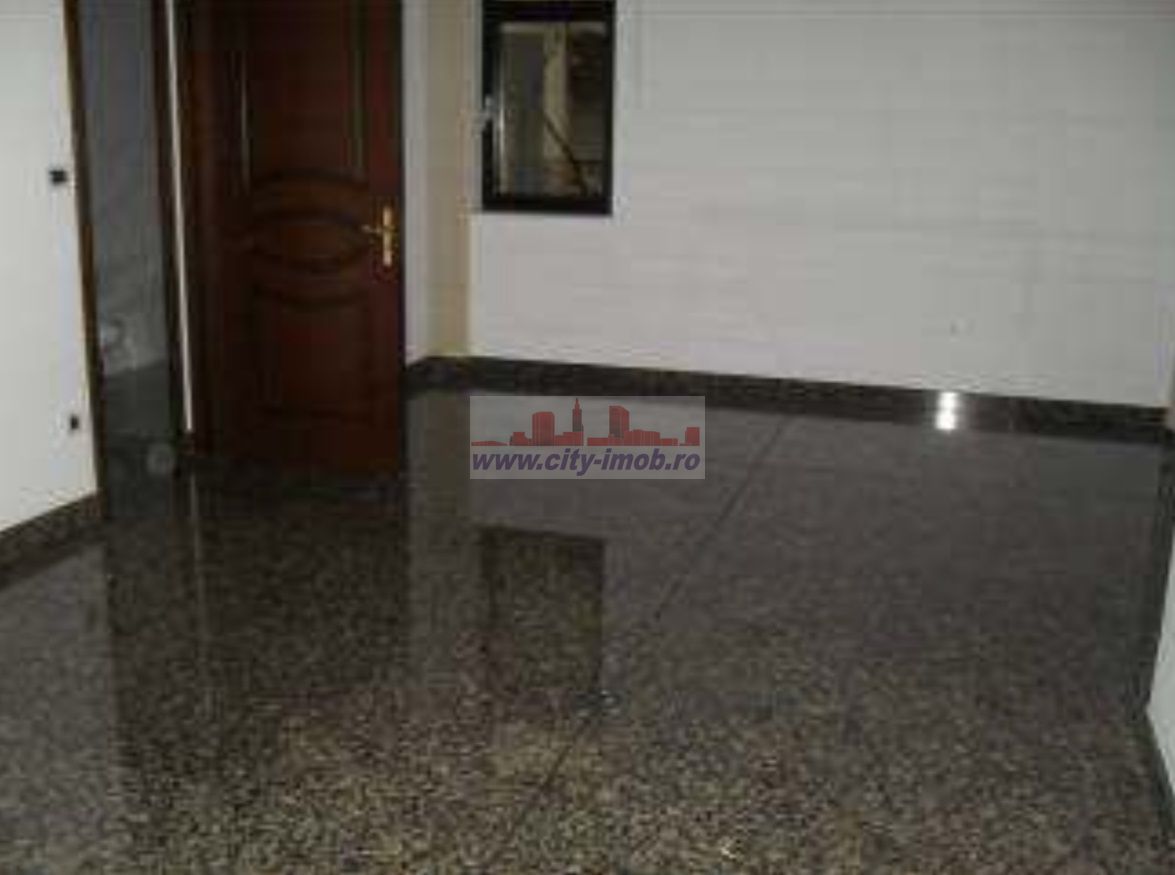 Inchiriere Vila Iancu Nicolae Gradinita, Clinica Medicala - Poză 6