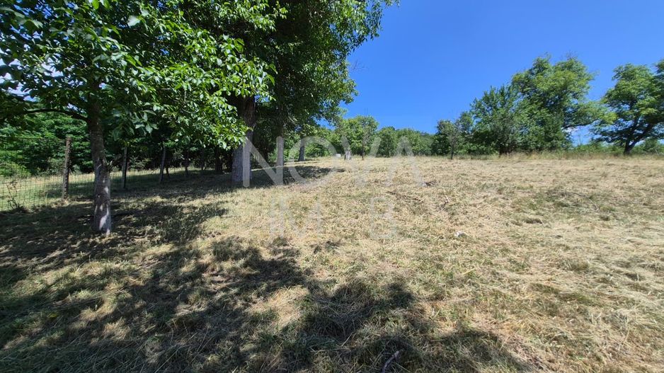 Casa individuala cu teren generos – 8.356 mp – Tichindeal, jud. Sibiu - Poză 46
