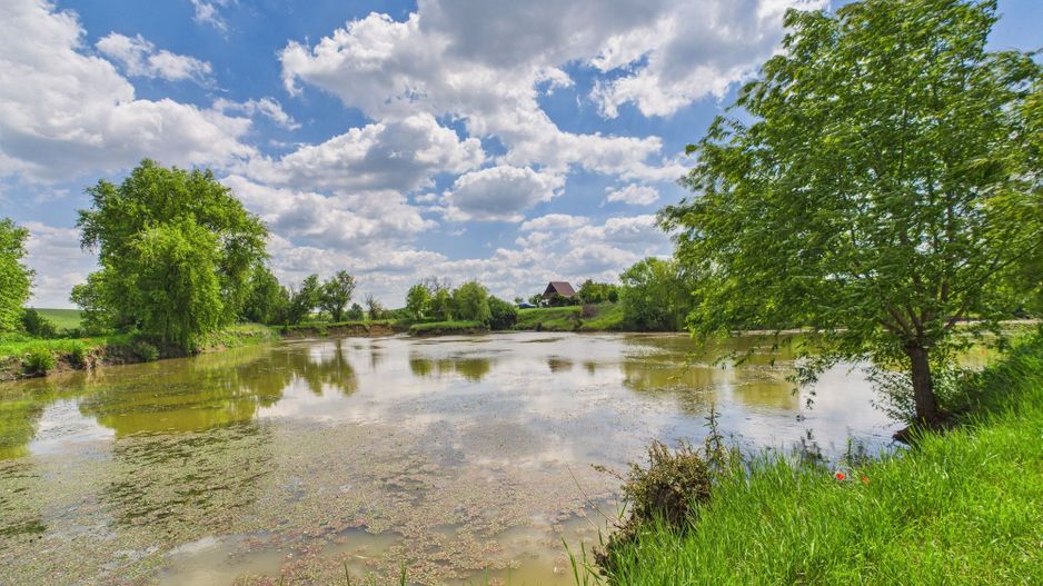 Teren cu baltă- oportunități multiple la Fibiș - Poză 23