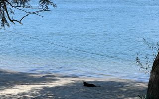 Hotel 20 camere Delta Dunarii 50 m deschidere teren 6000 mp acces auto - Poză 66