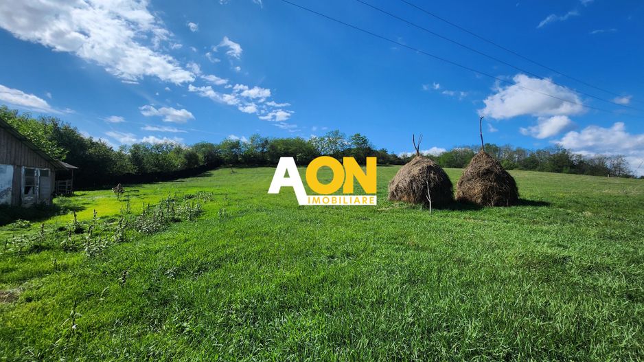 De vanzare 2965 mp teren intravilan, toate utilitatile, Oarda de Sus - Poză 2