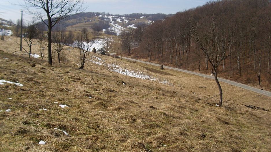 Teren intravilan Rosia, 12 000 mp, cu proiect aprobat. Comision 0. - Poză 11