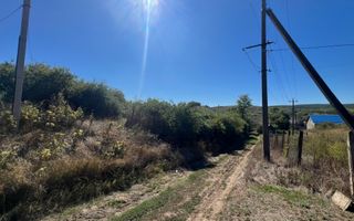 Teren pentru construcții 33 Ari în Molești, Ialoveni - Poză 3
