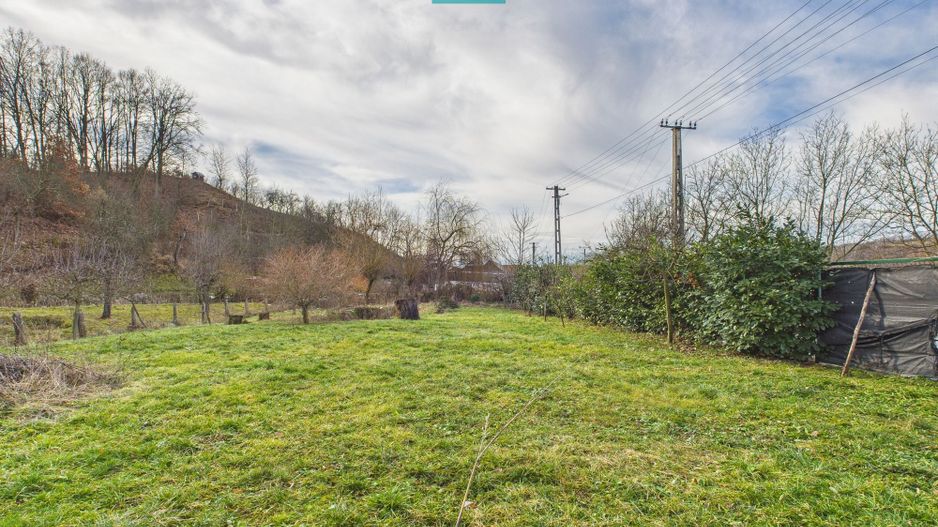 Casă deosebită la Urvişu de Beliu - Poză 5