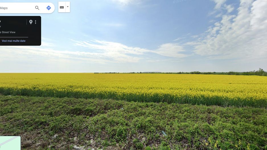 Teren 25.26ha Dascalu / DJ 200 - Poză 8