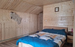 Casa Vacanta Rucar Saticu de Jos Arges - Poză 26