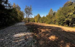 Parcele teren intravilan, cu utilitati - Bran, Tohanita - Poză 7