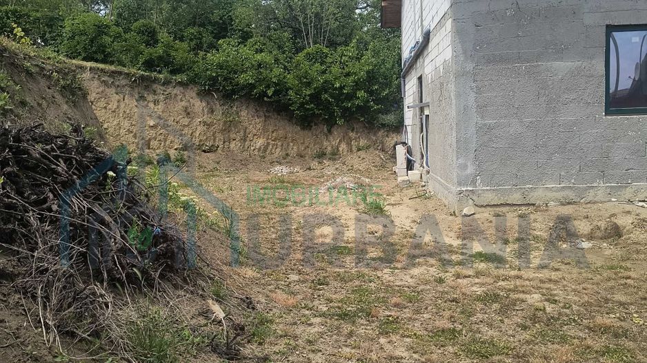 Casă de vânzare în sat Isaiia, comuna Răducăneni, județul Iași - Poză 7