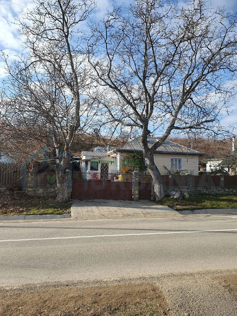 Casă cu teren în Deleni, Iași - Stradă principală - Poză 2