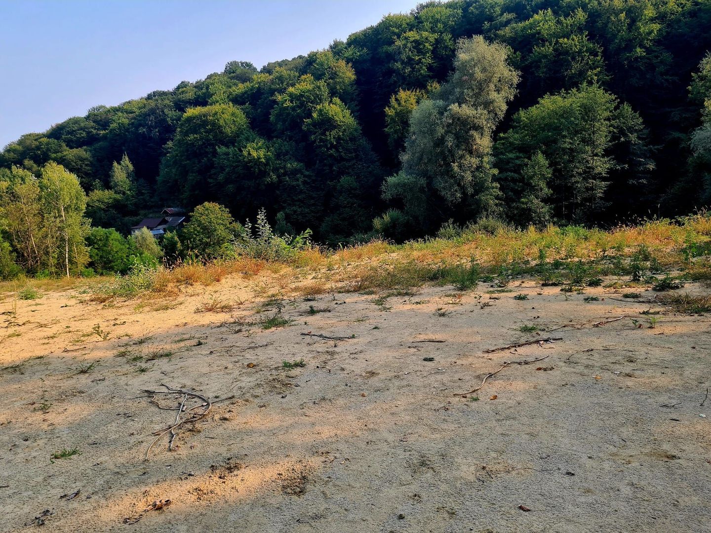 Teren intravilan de vanzare - Bujoreni - Poză 9