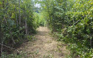 Teren 2552 mp, panorama superba Mosoaia Hintesti -Strada  Basangesti - Poză 4