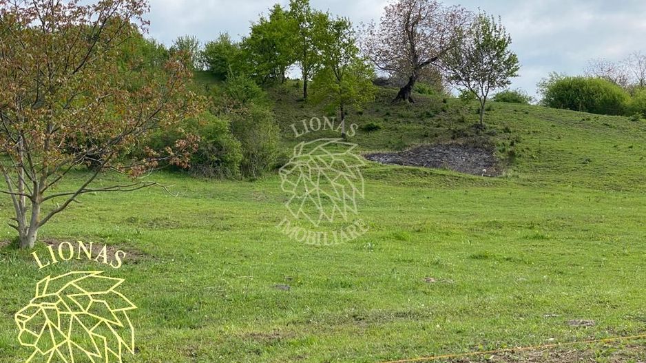 Teren 5000 mp-ideal investitie-Ghinda - Poză 4