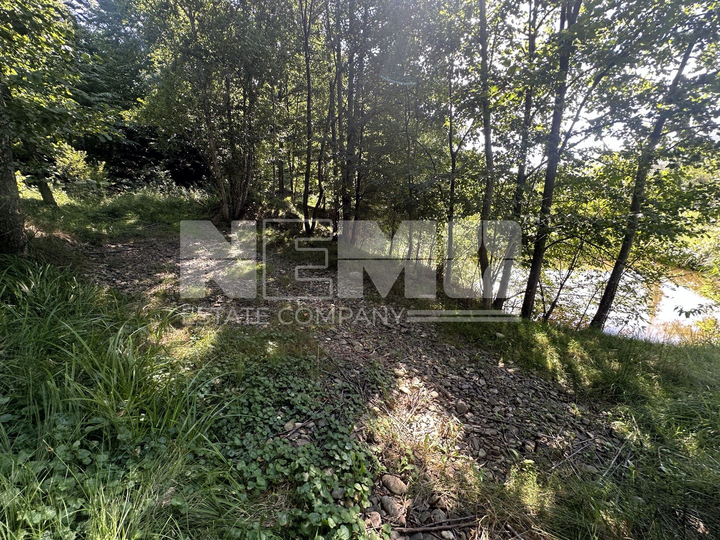 Teren 15 Ari | Cu Iaz & Terasat | Drumul Principal | 40.000 € - Poză 3