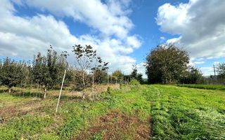 Livada+gradina, teren intravilan 2902mp, Damienesti-Bacau, comision 0 - Poză 7