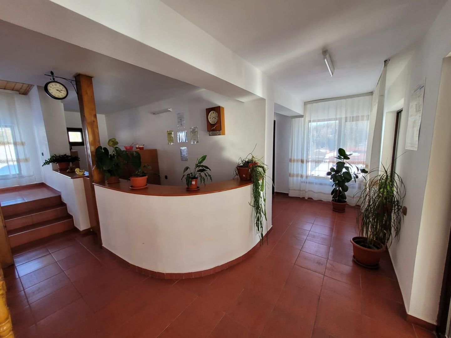 Pensiune + fermă piscicolă (sturion/caviar) | Saru Dornei/Sarisor - Poză 27