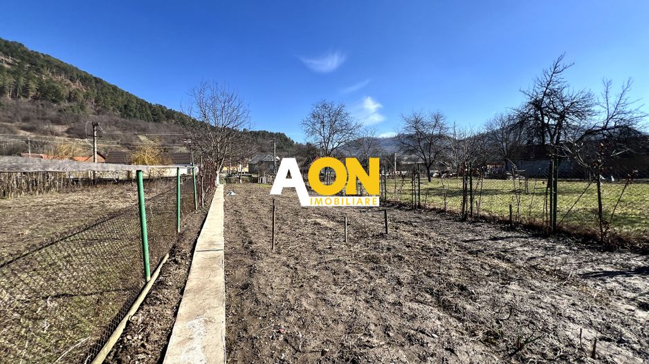 Casa de vanzare pretabila 2 familii, garaj, livada, comuna Pianu - Poză 39