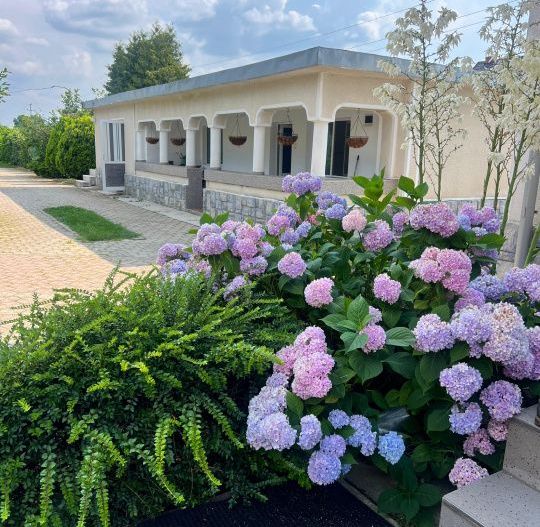 Casa visurilor cu 4000 mp livada roditoare si gradina Darmanesti-Arges - Poză 27