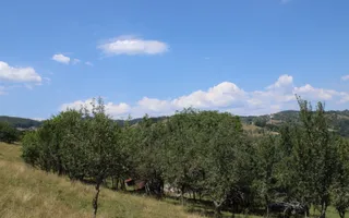 Poiana Sohodol I 5600 MP I Trei corpuri cladiri I Utilitati - Poză 38