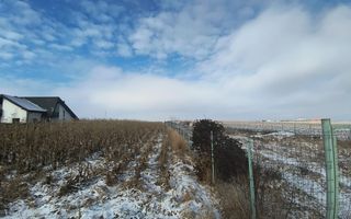 Teren de vânzare Șcheia | Sfantu Ilie | 3.361 mp - Poză 7