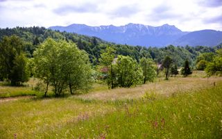 Teren intravilan - 1.050 mp în Bran cu utilitati – priveliște Bucegi - Poză 4