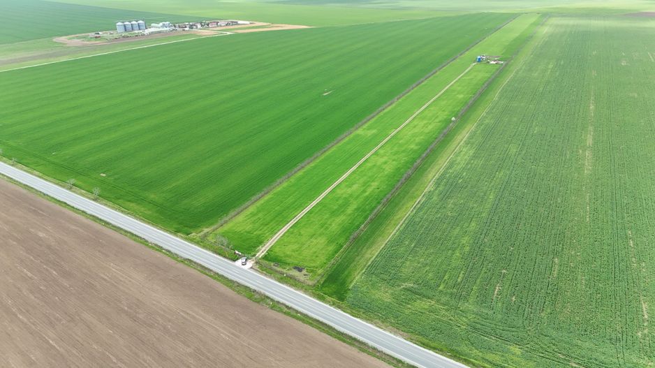 Teren de vanzare in Săcele ideal pentru silozuri, fermă 6 ha - Poză 14