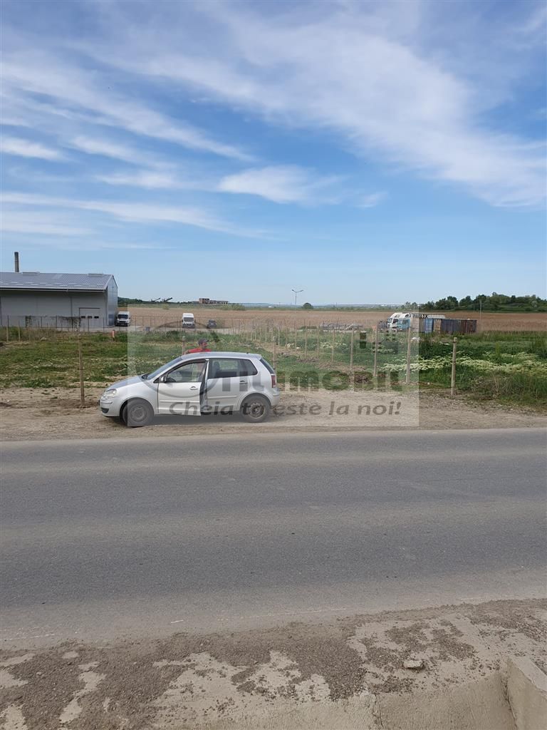 TEREN TOMESTI 1350 MP - Poză 2