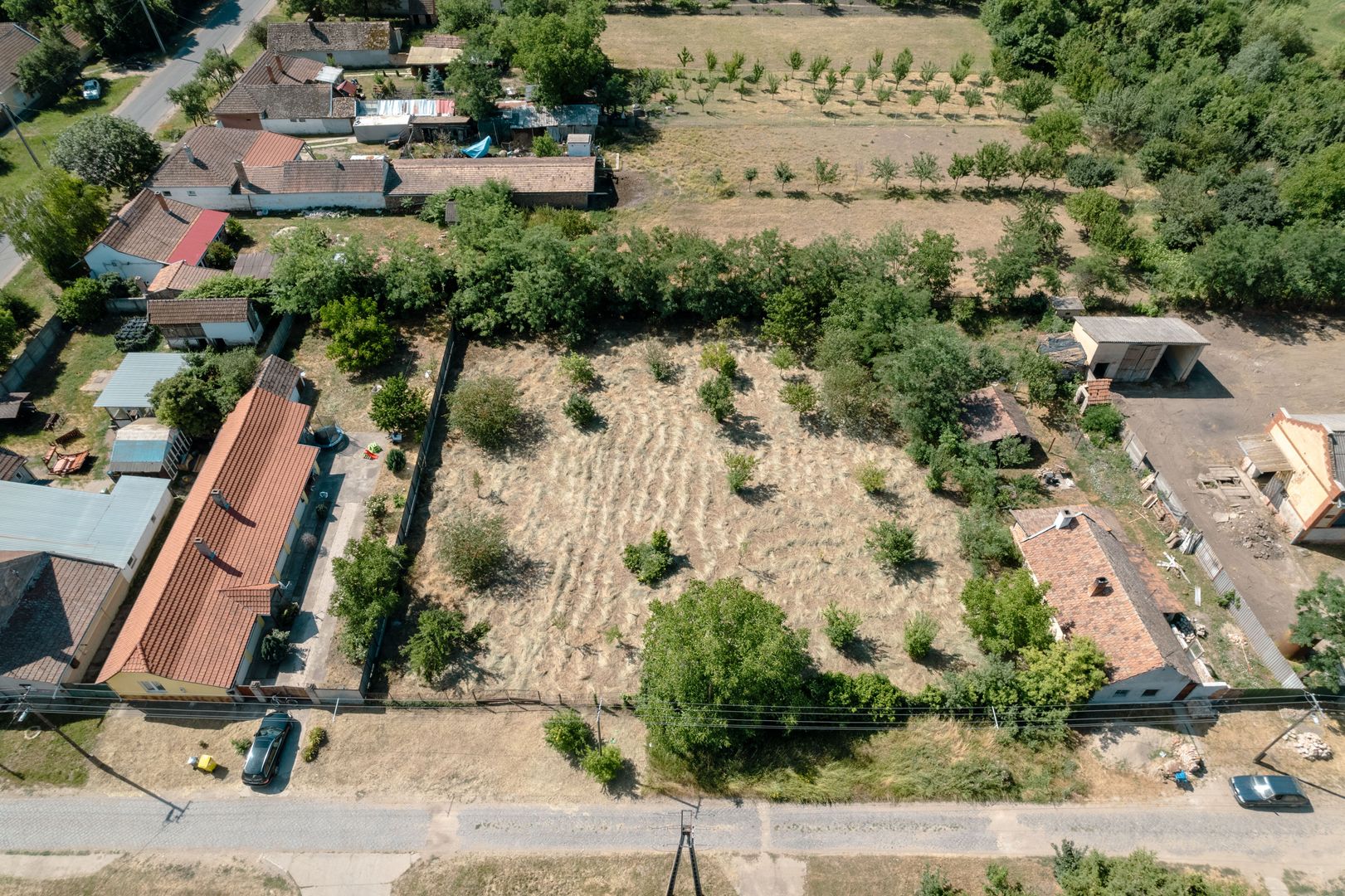 Casă cu teren 3332mp în Bătania - Poză 18