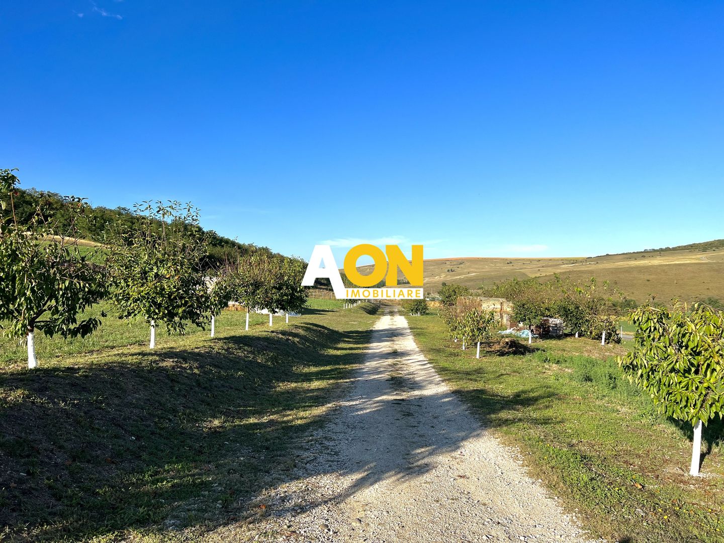 Ferma de vanzare cu 550MP utili si 27.500MP teren la asfalt - Poză 29