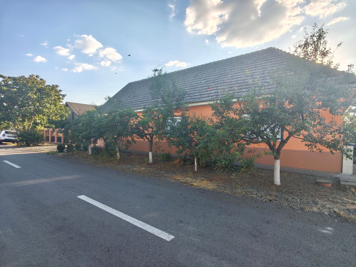 Casa Parter Becicherecu Mic 5 Camere,Vatra Veche,Teren Generos 1600mp,F.s 36 mp - Poză 1