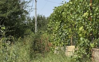 Teren intravilan 450 mp în Tomesti, lângă Primărie - Poză 3