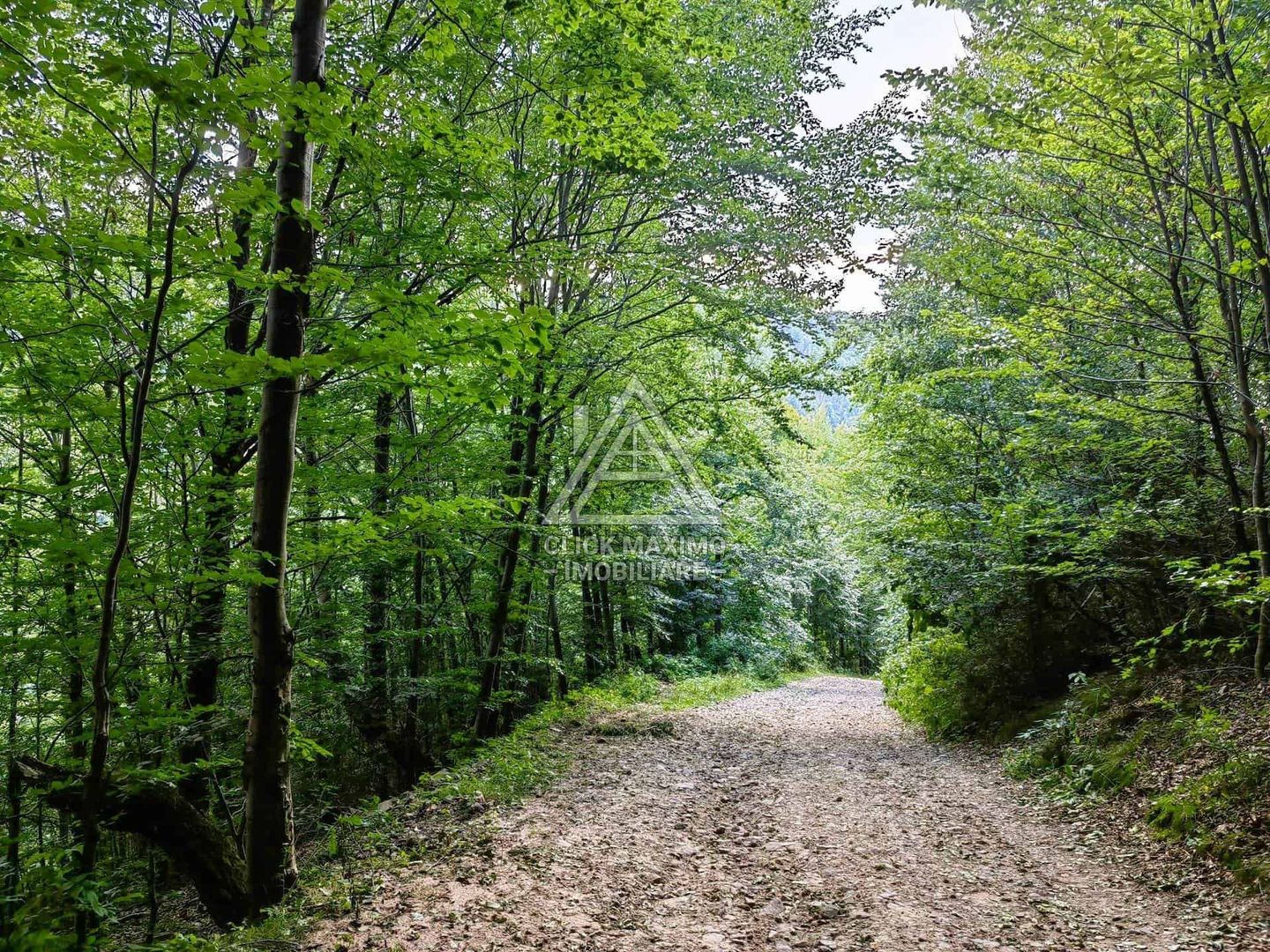 Casa,anexe si14.328 mp teren partial intravilan, com. Bulz, jud. Bihor - Poză 8