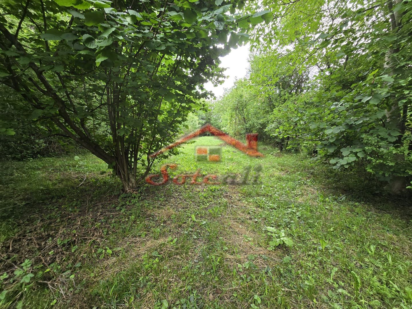 Teren intravilan de vânzare în Cornu de Sus – 1.363 mp fara inclinatie - Poză 4