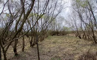 Teren De Vânzare I Suceava I 48.000 euro - Poză 11