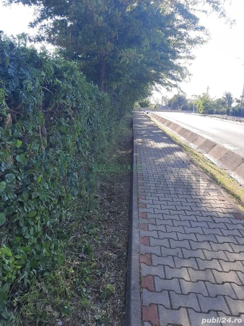 # intravilan în Țigănași la strada principală - Poză 4