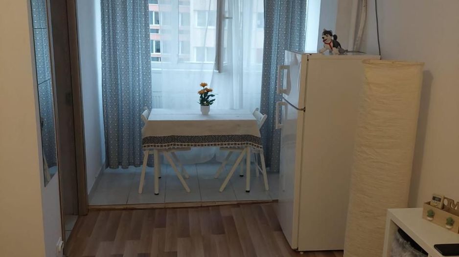 Garsoniera zona Costin Georgian - Lucretiu Patrascanu - Poză 8