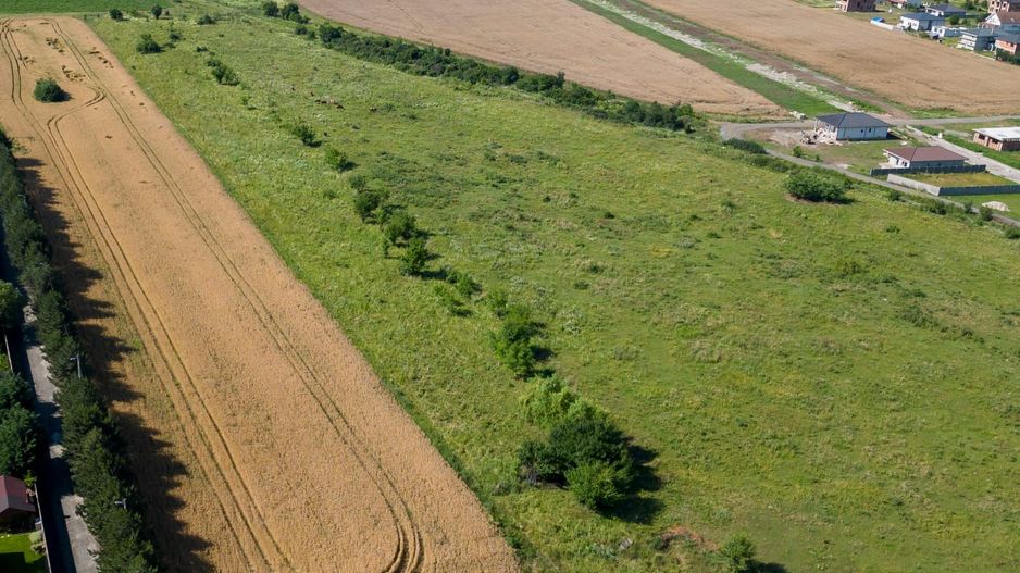 Loc de casă în Bujac - Poză 5