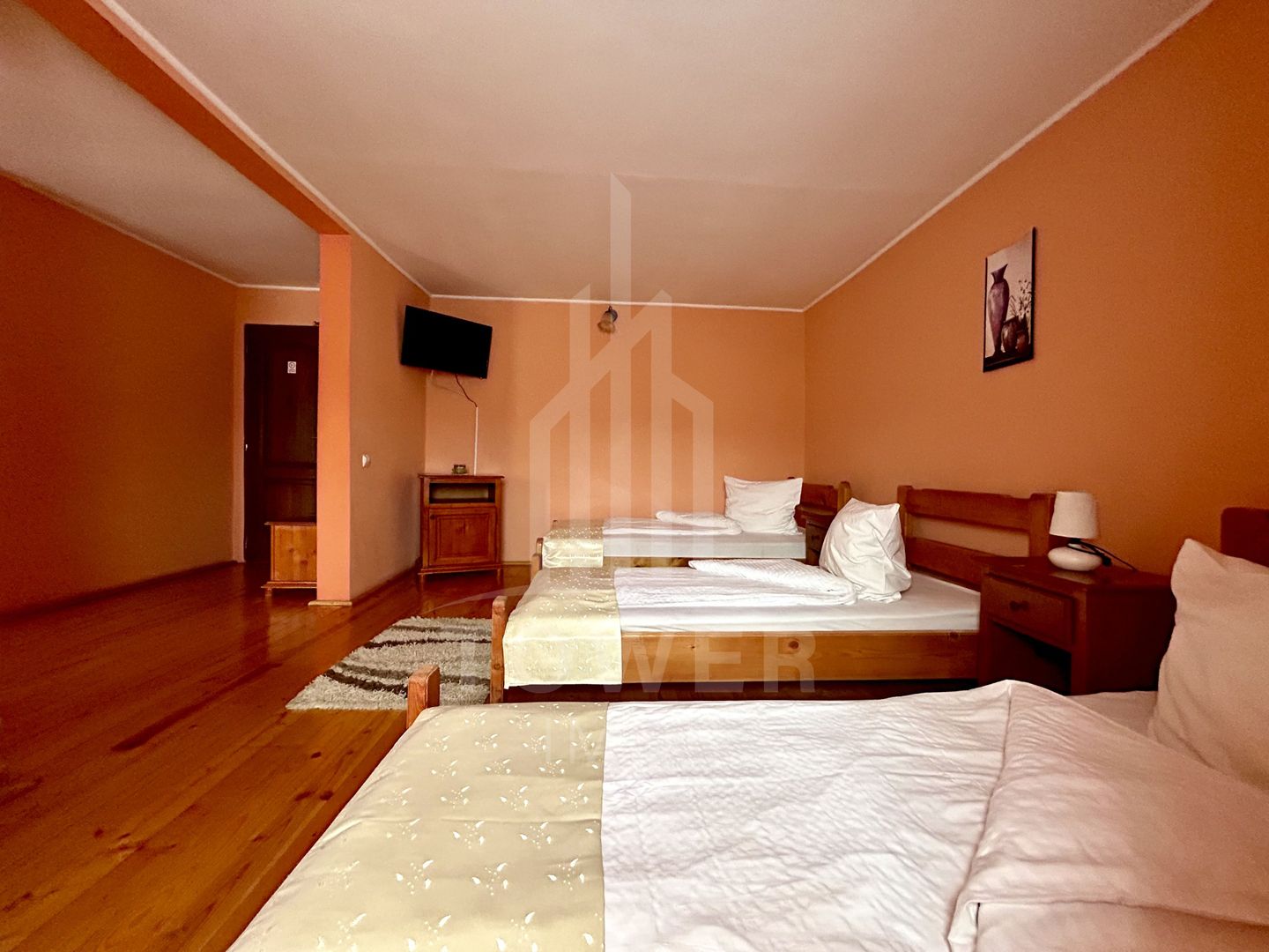 Pensiunea Polyana – business la cheie în inima stațiunii balneoclimaterice Bazna - Poză 10