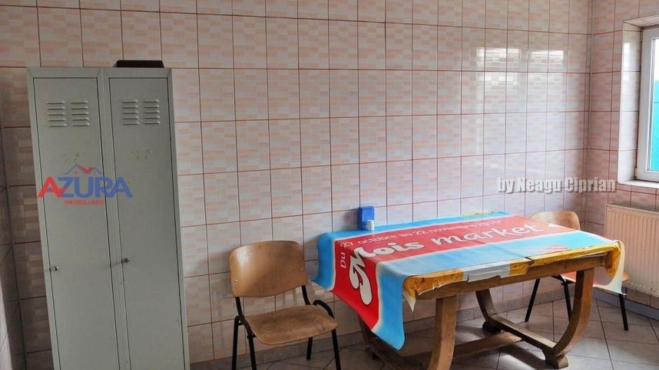 COMISION 0% - HALE Calinesti Arges - Poză 62