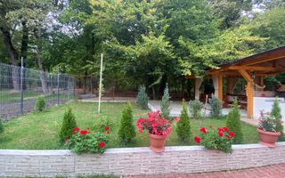 Vila  Frumoasa , Sibiu ,6 camere , 5 Bai , mobilata ,utilata - Poză 26