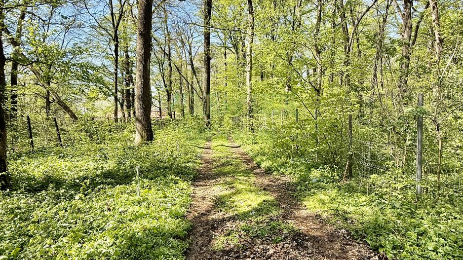 TEREN 7000 MP| DESCHIDERE 40 ML | INTRAVILAN-PADURE | POT 5% | TEREN UNIC | - Poză 4