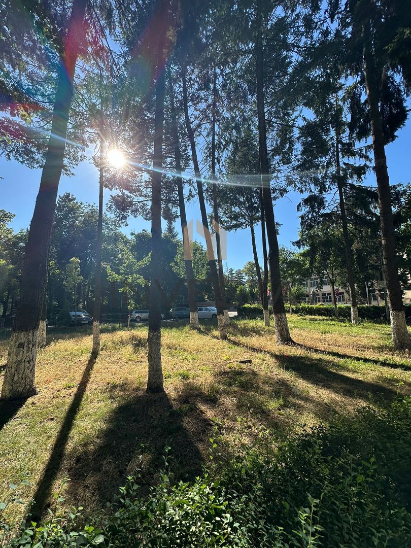 Apartament 2 camere la etajul I, Renovat, zona Iulius Mall - Poză 9